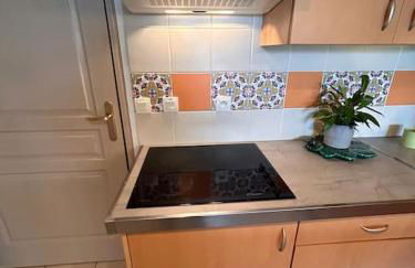 Le nid de Sitelle, appartement, piscine et sauna - Foto 30