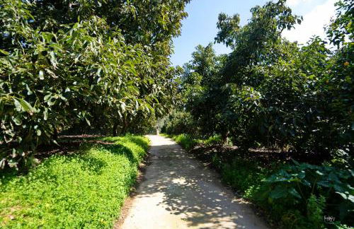 Lemon Garden Camper - Photo 24