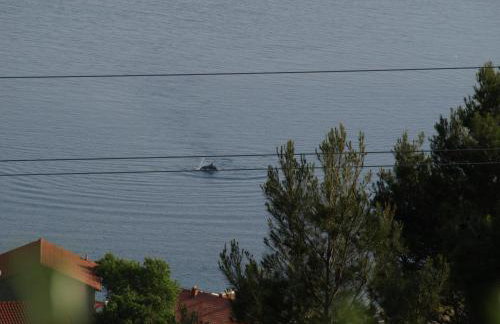 Apartmani Boban - Photo 11