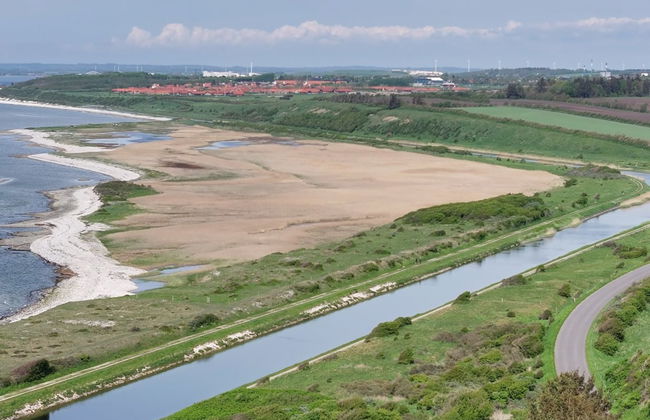 "Aranja" - 300m to the fjord - Photo 13