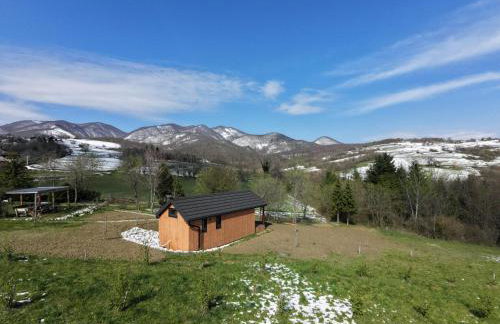 Dushka Mountain Cabin - Photo 65