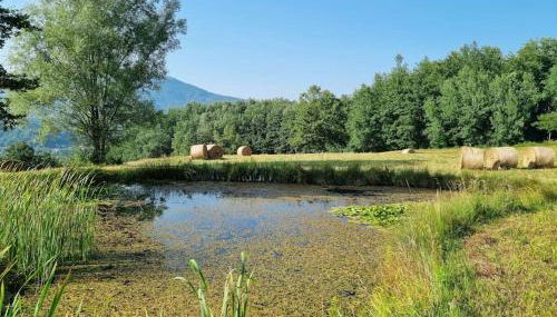 Oasi di pace nella Val di Taro - Foto 2