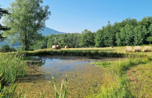 Oasi di pace nella Val di Taro - Photo 2