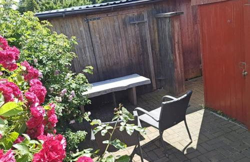 frankenstein - Foto 13