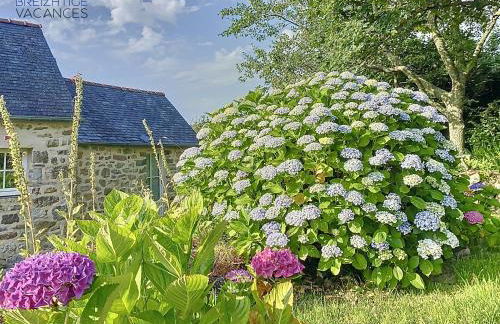 Penty Ty Gwen (Cap de la Chèvre) - Photo 5