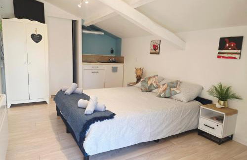 LOU PITCHOUN - Jacuzzi SPA Privé - Vignes - Proche ALBI et CORDES - Foto 3