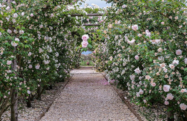 Il Fienile di Assisi - Foto 75