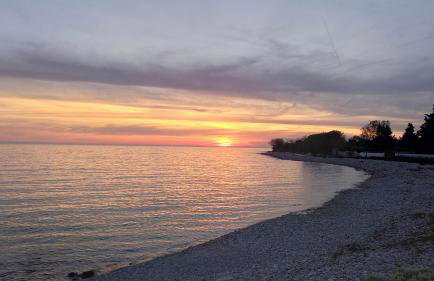 Olive Garden 2 - Foto 13