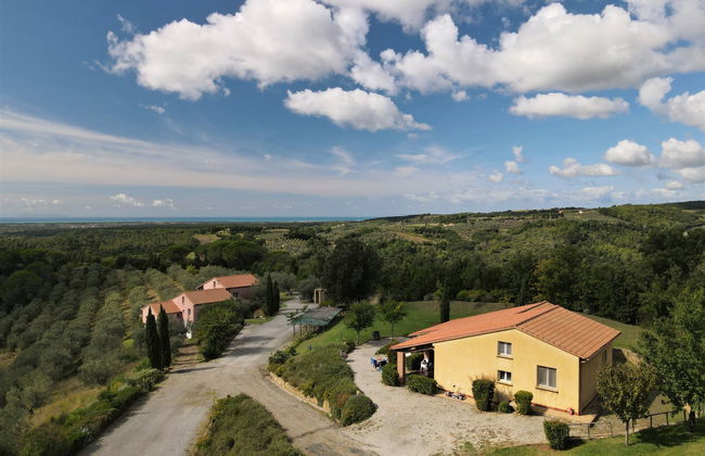 Il Felciaione - Foto 5