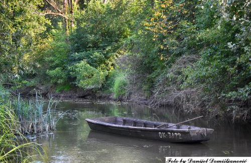 Studio apartman CENTAR - Foto 33