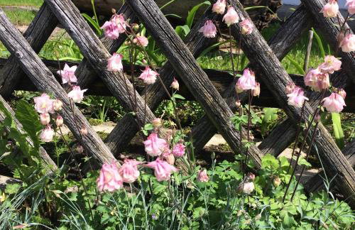 Ferienwohnung Schifterhof - Foto 7