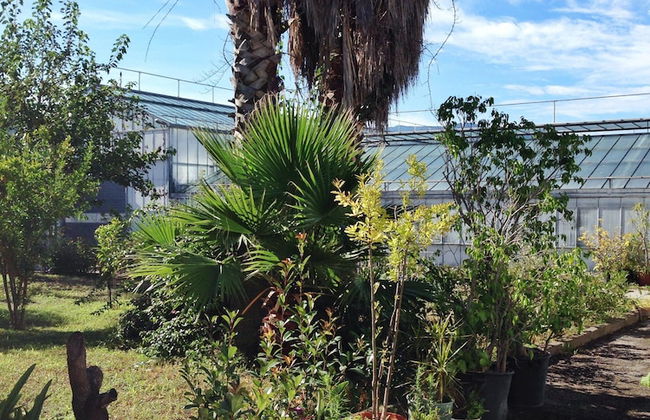 Apartment at the Foot of Mt. Vesuvius - Foto 70