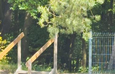 Apartamenty nad morzem Przy Klifie 2 Dębina - Foto 26