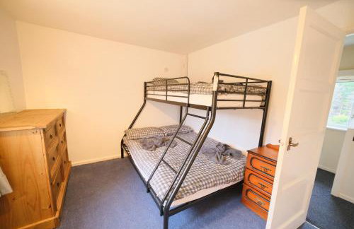 Forest View - Foto 19