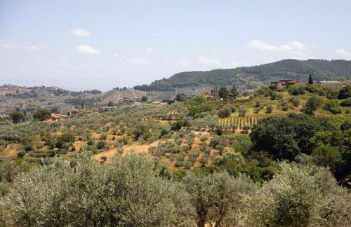 Agriturismo Il Dolce Vivere - Foto 40