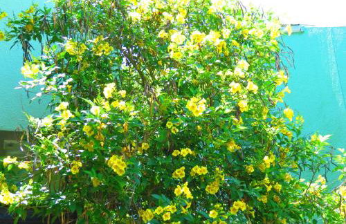 Multi Resorts at Puente Vista - Foto 30