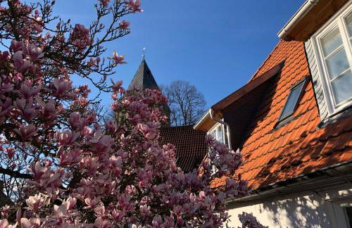 Dudenhaus Soest / Anno 1554 / Am Brauhaus Zwiebel - Foto 19