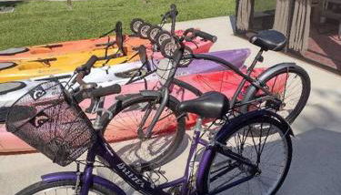 Lemon Bay Cottage in Historic Englewood Village - Foto 4