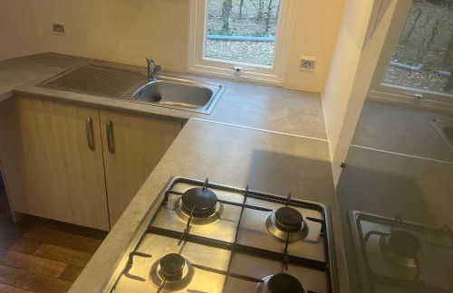 Mobilhome Family - Laurier Rose - Foto 5