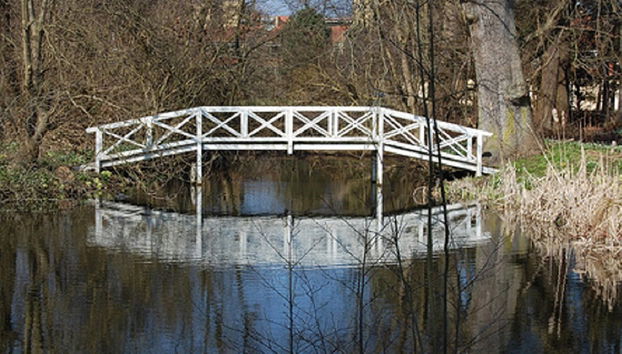 Visita del museo Karen Blixen y el Centro de Jirafas - Foto 3