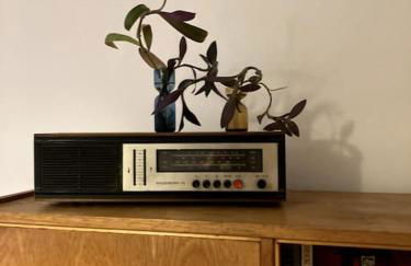 Little Fine Apartment close to Leipzig - Foto 14