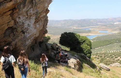 Dehesilla Olive Orchard Retreat - Foto 40