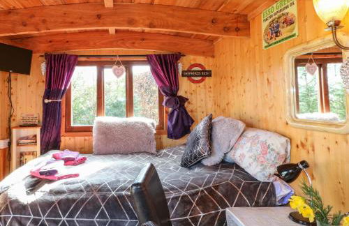 Packhorse Shepherds Hut - Foto 7