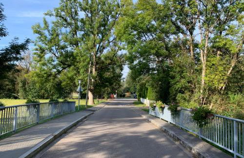 Schwarzwaldperle - Foto 27