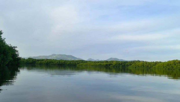 Caroni Bird Sanctuary Tour - Photo 2, Explore the Caroni Bird Sanctuary