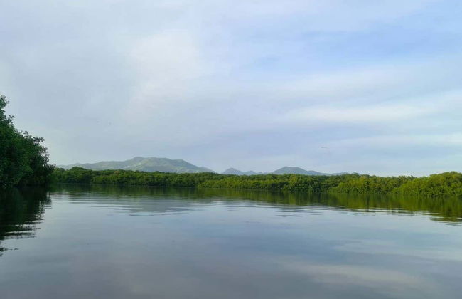 Visite du sanctuaire des oiseaux de Caroni - Photo 1