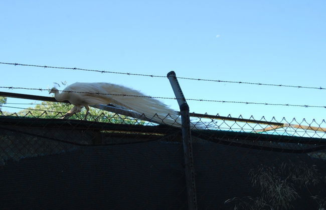 Vivienda Rural el Retorno - Foto 42