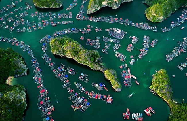 Cat Ba Seoul 2 Hotel & Apartment - Foto 73