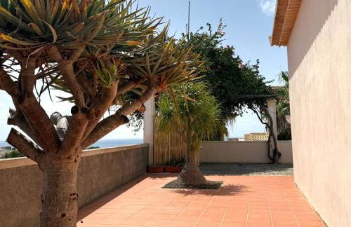 Casa do Cisne - Foto 2