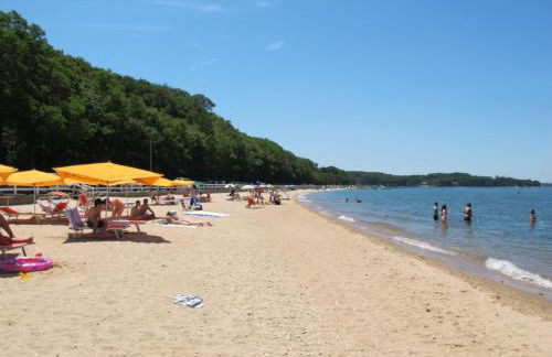 Villa Gavin - Foto 35