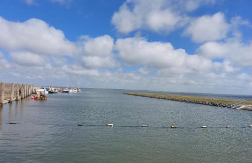 Haus Sonnenblume - Foto 43