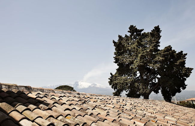 La Terra del Mezzo - Foto 52