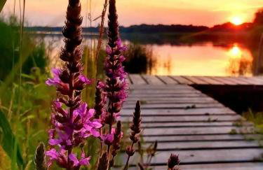 Chill na Skrzynce - Foto 33