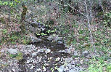 Penelope's Guest House - Foto 21