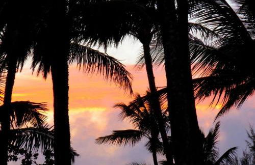 Glorious Beachfront High End Villa grass to sand - Photo 34