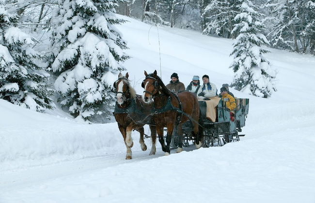 Ferienwohnungen am Buchbrunnen - Foto 48
