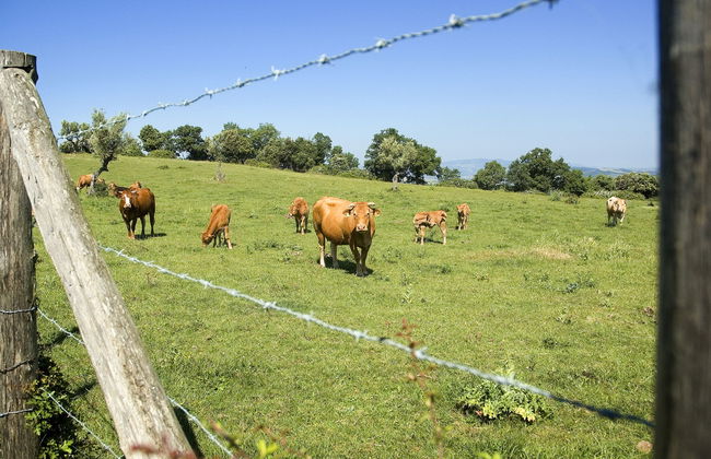 Borgo Cerbaiola - Foto 23