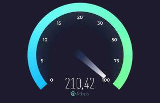 Under the Lemon Tree - Foto 30