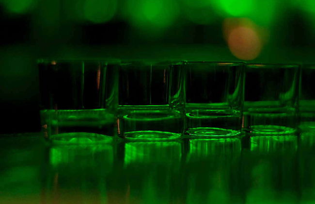 Gdansk Pub Crawl - Foto 2