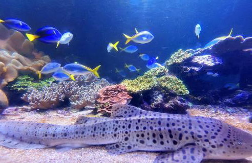 4 Bedroom Gorgeous Home In Bezinghem - Foto 31