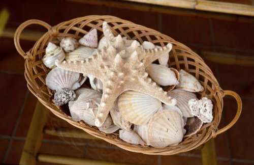 El Cortijo - Photo 24