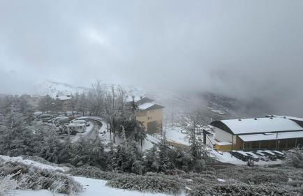 Biznaga Nevada - Foto 64