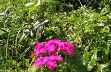 Dom pod Galazka - Foto 8