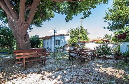 Xara Apartments - Foto 3