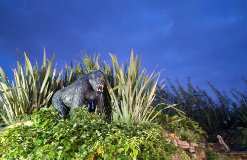 Caesars Lodge - Photo 60