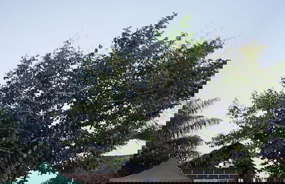 las cabañas - Photo 25